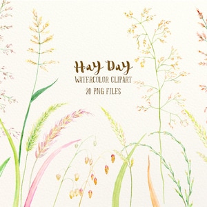 Gras ClipArt, Clipart, Aquarell Clipart Hay Day, Gras Heu Saatgut Kopf, Ziergras zum sofortigen Download, Gras ClipArt