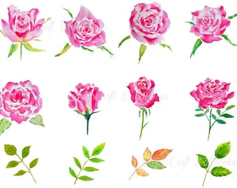 Watercolor Pink Roses Clipart, Hand-Painted Floral Illustrations (Digital Download)