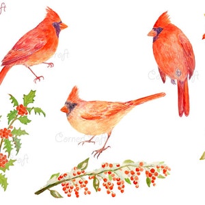 Aves de acuarela cardenales rojos y bayas en nieve descarga instantánea álbum de recortes acuarela tarjetas de felicitación de navidad (set3)