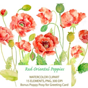 Hand painted watercolor clipart - oriental red poppies instant download for greeting cards, wedding card, invitations