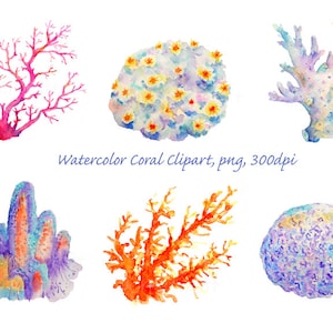 Può includere: Illustrazioni ad acquerello di varie formazioni di barriere coralline. Il corallo è rappresentato in tonalità di rosa, arancio, blu e viola. L'immagine è etichettata "Watercolor Coral Clipart, png, 300dpi".