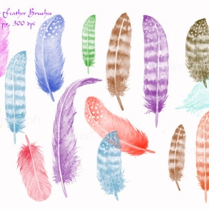 Photoshop brushes Watercolor Feathers ABR Instant Download image 1