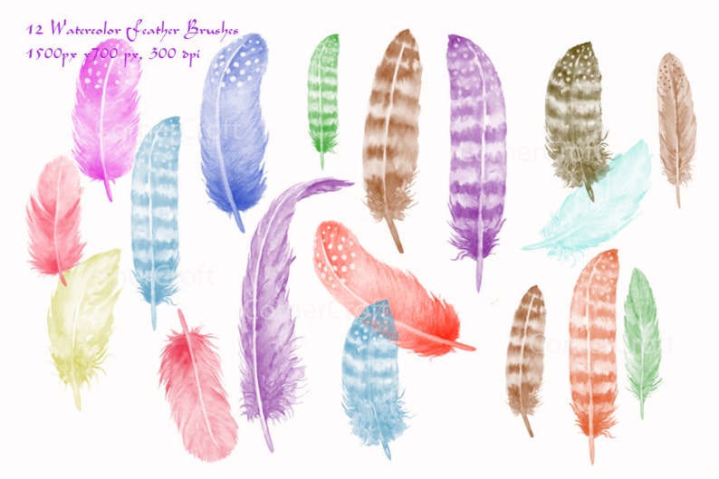 Photoshop brushes Watercolor Feathers ABR Instant Download image 1