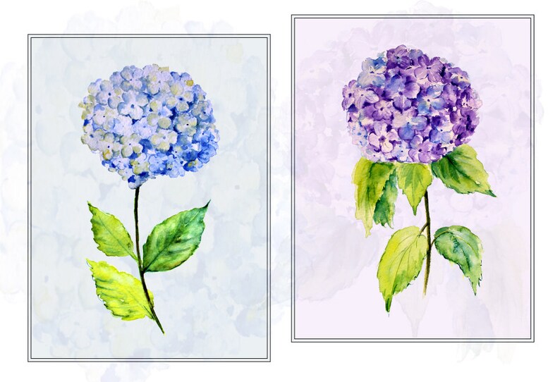 Hand Painted Watercolour Blue Hydrangea Digital Clipart - Etsy