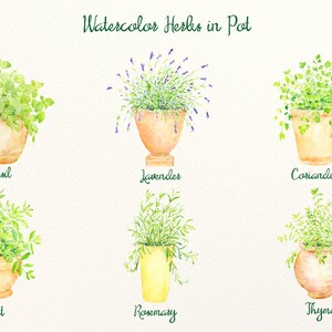 May include: Watercolor illustration of six potted herbs: basil, lavender, coriander, mint, rosemary, and thyme. Each herb is in a different terracotta or yellow pot. The text "Watercolor Herbs in Pot" is at the top.