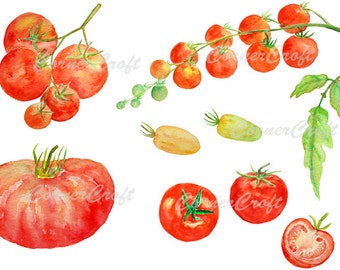 水彩画 トマト 赤色 手描き 赤色のトマトのセット 夏野菜の手描き水彩イラスト素材の