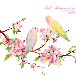 Clipart de flores de maçã em aquarela e pássaros do amor para download instantâneo