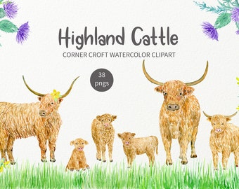 Watercolour highland cattle highland cow family clipart