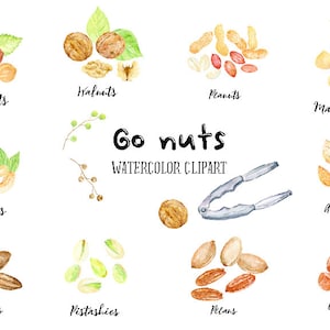 Aquarela Clipart Go Nuts, ilustração de nozes, caju, noz, amendoim, castanha do Brasil, amêndoa, noz-pecã, castanha, noz para download instantâneo