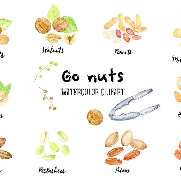 Watercolor Clipart Go Nuts, Nut illustration, cashew,walnut, peanut, Brazil nut, almond, pecan, chestnut,walnut for instant download