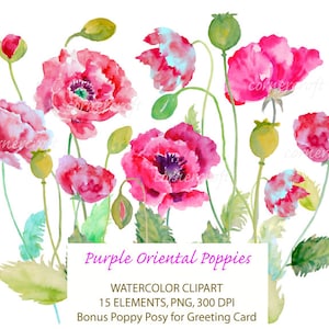 Clipart aquarela pintado à mão - download instantâneo de papoulas roxas orientais para cartões comemorativos, cartão de casamento, convites