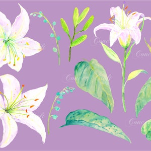 Wedding clipart - Hand painted watercolor white lily clipart printable instant download  for greeting cards wedding invitations