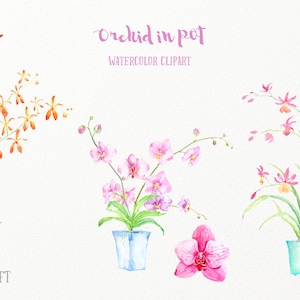 Watercolor clipart Orchid in pot, pink orchid, purple orchid and orange orchid in pots, printable instant download