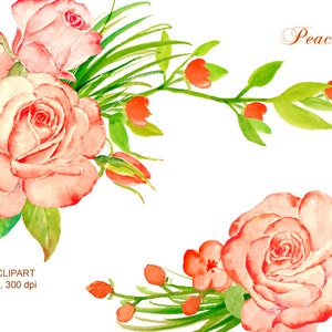 May include: Watercolor clipart of peach roses with green leaves and stems. The image includes 18 elements, 2 posies, and the text "Peach Rose".