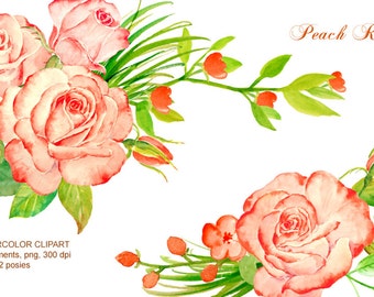 Watercolor Peach Roses Clipart, Floral Illustration (Digital Download)