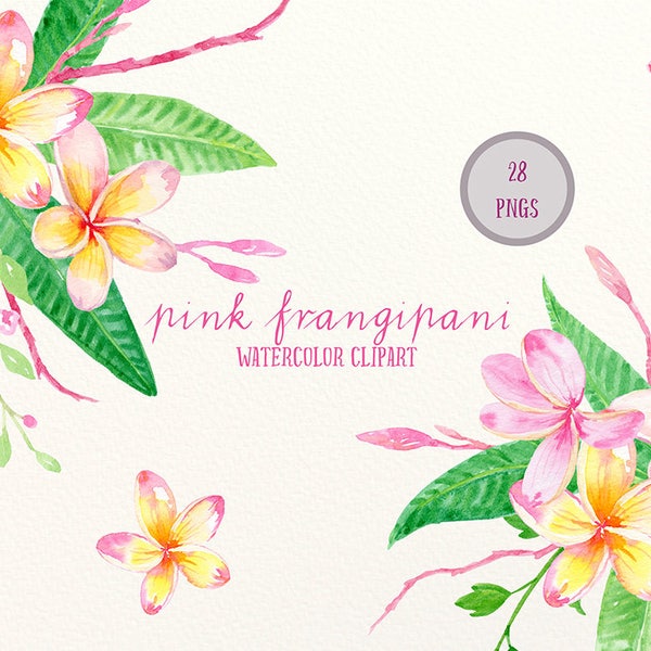 Frangipanier Clip Art, aquarelle frangipanier rose, feuillage vert, floral arranagments téléchargement immédiat.