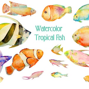 Tropical fish clipart