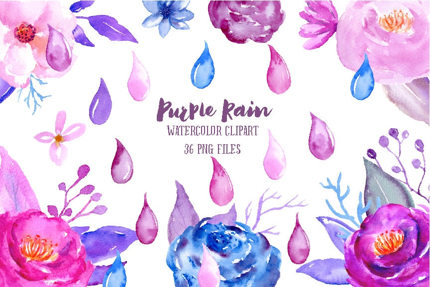 Watercolor Clipart Purple Rain Rain Drops Purple Flowers Etsy Ireland Watercolor Clipart Purple Rain Rain Drops Purple Flowers Etsy Ireland