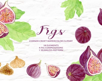 Acuarela Botanical Fig Ilustración para Descarga Instantánea