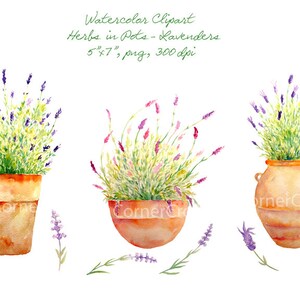 Watercolor clipart - Hand painted watercolor lavenders in terracotta pots printable instant download
