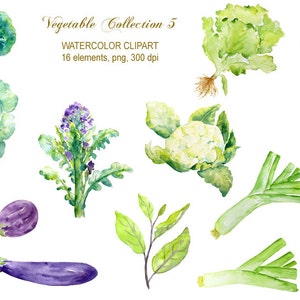 peint à la main, laitue aquarelle légumes, poireaux, aubergines, chou, brocoli clipart digital instant download pour cartes de voeux