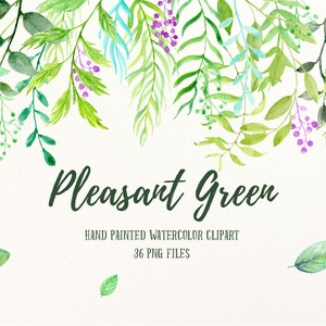 May include: Watercolor clipart featuring 36 green leaves and branches with purple berries. The text "Pleasant Green" and "Hand Painted Watercolor Clipart 36 PNG Files" is included in the image.
