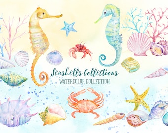 Watercolor Clipart Seashell Collection - seashells, crabs, star fish, seahorse, coral, pebbles, seashell clip art, instant download