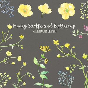 Könnte beinhalten: Aquarell-Clipart mit gelben Geißblatt- und Hahnenfußblumen mit grünen Blättern und Stielen. Der Text "Honey Suckle and Buttercup Watercolor Clipart" befindet sich oben im Bild.