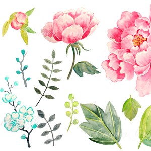 May include: Watercolor illustrations of pink peonies and green leaves. The set includes a large peony flower, a smaller peony bud, and several different leaf shapes.