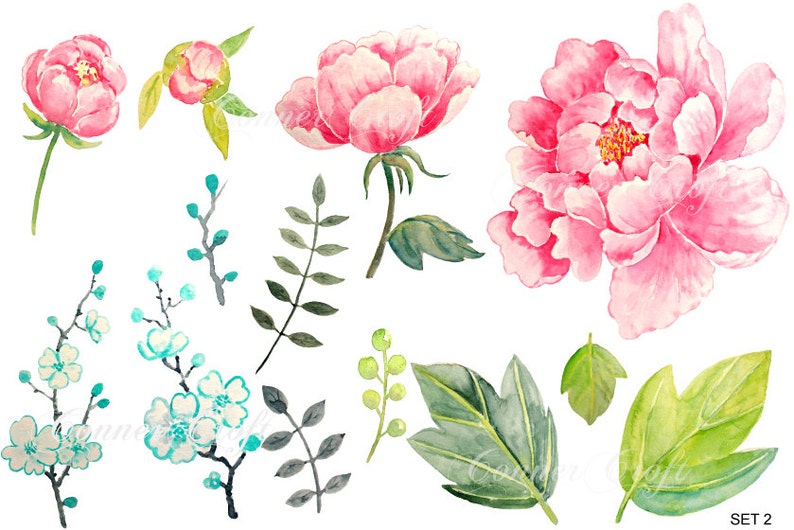 May include: Watercolor illustrations of pink peonies and green leaves. The set includes a large peony flower, a smaller peony bud, and several different leaf shapes.