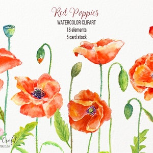 Watercolor clipart red poppies and card template for instant download clipart