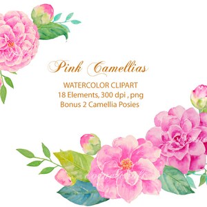 Wedding Clipart - Watercolor pink camellias pink flowers printable instant download for  wedding invitations, cards