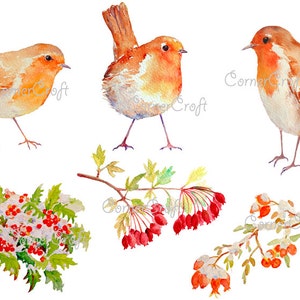 Aquarelle numérique Noël robins et fruits rouges en neige téléchargement immédiat scrapbook aquarelle cartes Noël cartes de voeux set1