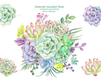 Watercolor clipart succulent plants printable instant download