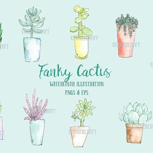 May include: Watercolor illustrations of various cacti and succulents in pots. The plants are drawn in a whimsical style with a variety of colors and textures. The text "Fanky Cactus" is written in a stylized font.