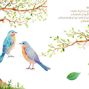 Wedding clipart - Hand painted watercolor tree with heart, branch, 2 blue birds printable instant download  for  wedding invitations