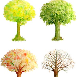 Aquarelle arbres peints à la main quatre saisons - printemps, été, automne et hiver gros fichiers téléchargement téléchargement pour décoration murale de cartes de voeux