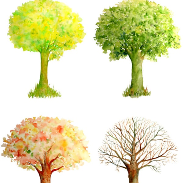 Hand painted watercolor trees four seasons - spring, summer, autumn and winter large files instant download for greeting cards wall decor