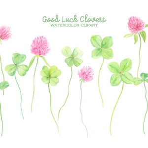 Aquarelle Clipart bonne chance trèfles - trèfles à 4 feuilles, des trèfles à 3 feuilles, des fleurs de trèfle Rose pour téléchargement immédiat