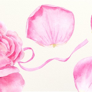 May include: Watercolor illustration of a pink rose with several detached petals and a ribbon on a cream background. The petals and rose are various shades of pink, with some yellow accents.