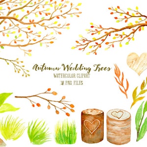 Op de afbeelding: Waterverf clipart set van herfstbruiloft bomen, takken, bladeren en houten elementen. De set bevat 18 PNG-bestanden.