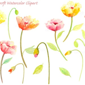 Arte de clipart pintada à mão em aquarela, papoulas laranja e vermelhas, download instantâneo para cartões comemorativos, convite de cartão de casamento
