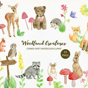 Woodland Creatures Aquarelle Illustration Téléchargement instantané