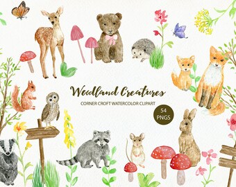 Woodland Creatures Watercolor Illustration Instant Download