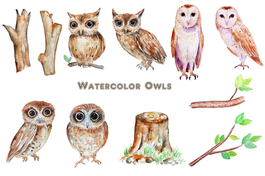 Watercolor Owl Clipart, Hand-Painted Illustration (Digital Download)