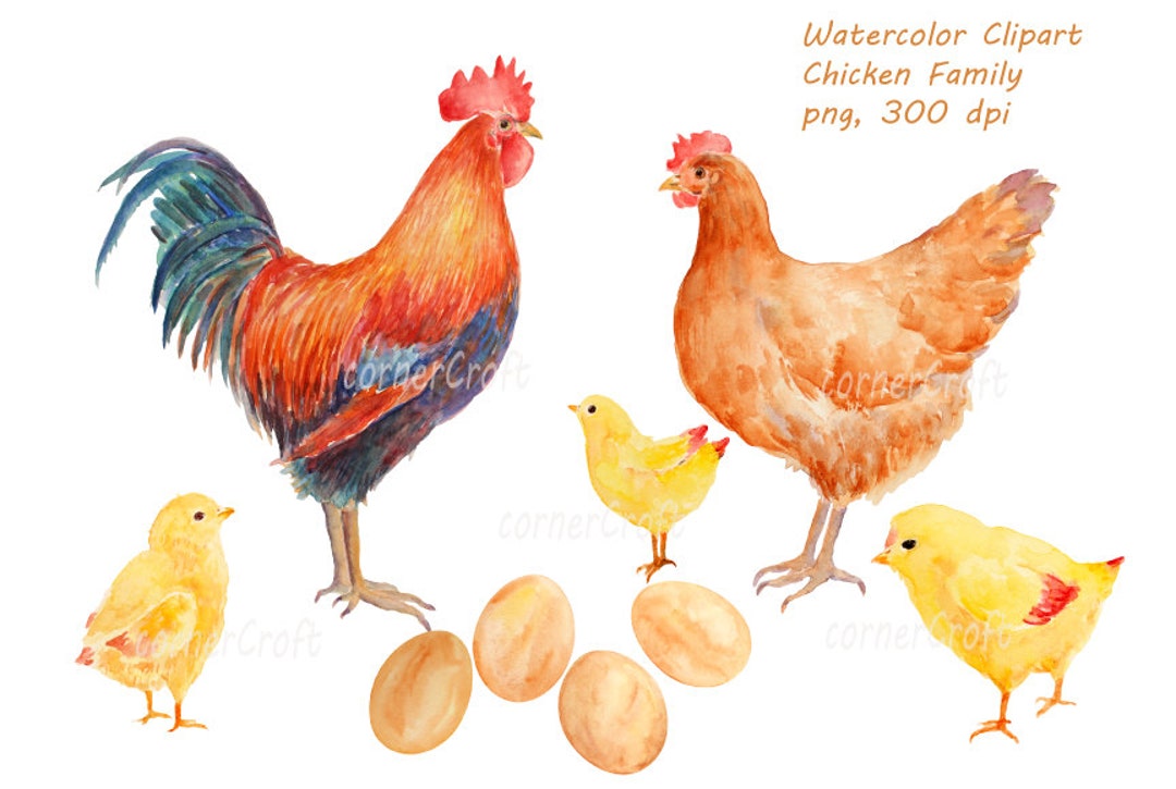 Watercolor Clipart Hand Drawn Chicken Family Rooster, Hen, Chicks and Eggs  Printable Instant Download 