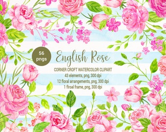 Watercolor English Rose Clipart, Pink Peach Floral (Instant Download)
