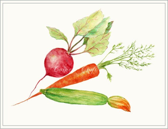 Tarjetas De Acuarela Con Verduras Página 20 | Imágenes De Frutas Y