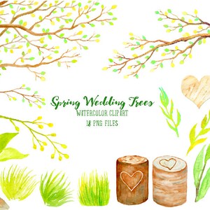 Op de afbeelding: Waterverf clipart set met lente bruiloft bomen, takken, bladeren en houten elementen. De set bevat 18 PNG bestanden.