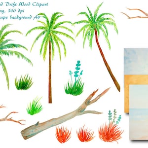 Hand painted watercolor palm trees, sea grass and driftwood